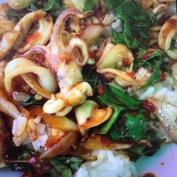 กระเพราปลาหมึกราดข้าว