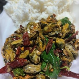 กระเพราเนื้อหอยแมลงภู่ (กับข้าว)