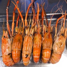 กุ้งเผา 1 กิโล12-14ตัวโล