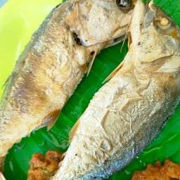 ปลาทู(นิ่ง)ทอดตัวละ