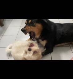 ทิปกาแฟพี่เลี้ยงเด็กจำเป็น