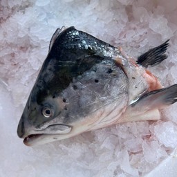 หัวปลาสด