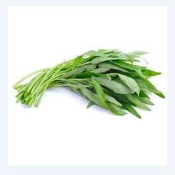 ผักบุ้ง morning glory