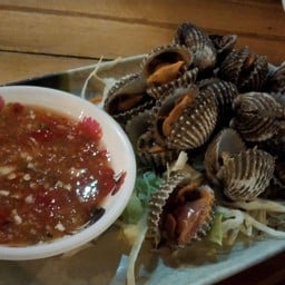 หอยแครงลวก