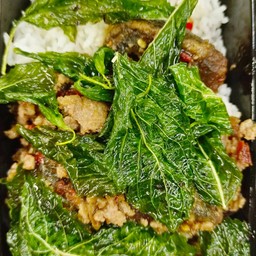 ไข่เยี่ยวม้าหมูสับกระเพราราดข้าว