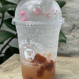 บ๊วยโซดา