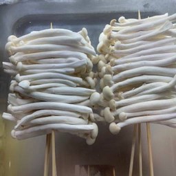 เห็ดชิเมจิ