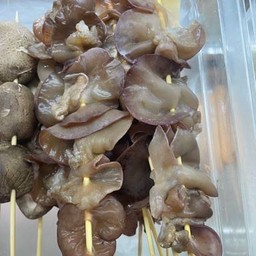 เห็ดหูหนู