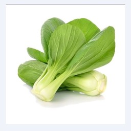 ผักกวางตุ้งไต้หวัน bakchoy