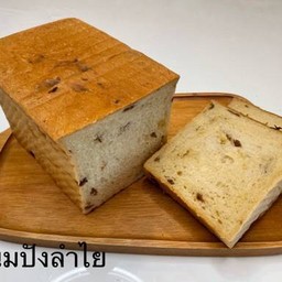 MENU_2536320vR_1699432978