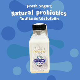โยเกิร์ตสด โปรไบโอติก