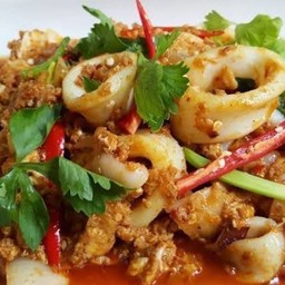 ปลาหมึกผัดผงกะหรี่ ราดข้าว