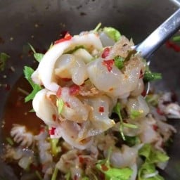 เจ้เปิ้ลขายหอย ไม่เผ็ดไม่ขาย เจ้เปิ้ลขายยำไม่เผ็ดไม่ขาย