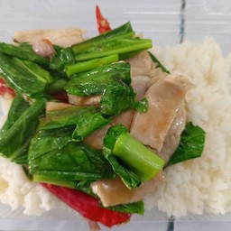 ผัดคะน้าหมูชิ้น ราดข้าว