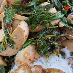 กะเพราแท้หมูยอ