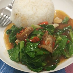 ผัดแขนง (ราดข้าว)