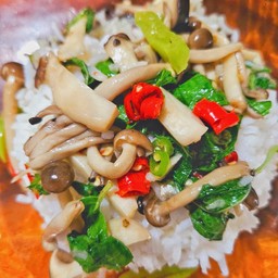 ข้าวกะเพราเห็ดชิเมจิ (เจ) (มังสวิรัติทานได้)