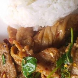 ข้าวกระเพราหมูสับพริกแห้งไข่ดาว