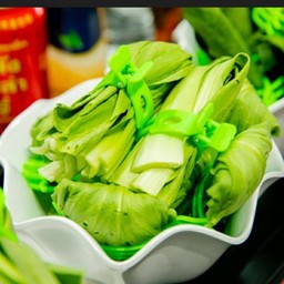 กวางตุ้งไต้หวัน (ฮ่องเต้น้อย)