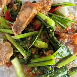 ข้าวราดคะน้าหมูกรอบ