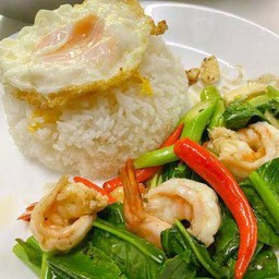 ข้าวคะน้ากุ้งสด
