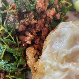 กะเพราแท้แหนม