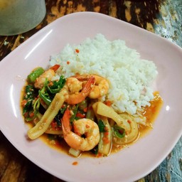 ผัดกระเพราทะเล ราดข้าว