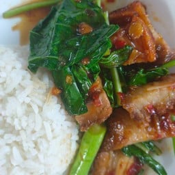 ข้าวคะน้าหมูกรอบ