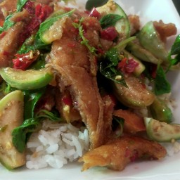 ผัดฉ่าปลาบึกราดข้าว