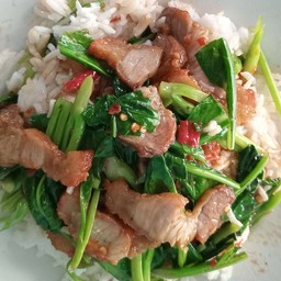 ข้าวคะน้าหมูกรอบ