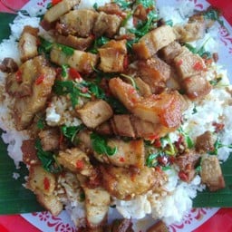 [อร่อยซ่ากับโค้ก] กะเพราหมูกรอบ +  โค้ก ออริจินัล (กระป๋อง)