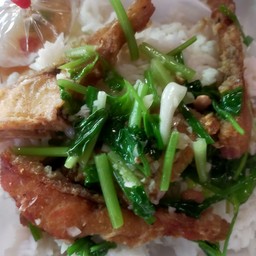 ปลาทับทิมผัดขึ้นฉ่ายราดข้าว