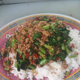 ข้าวกะเพราหมูสับ