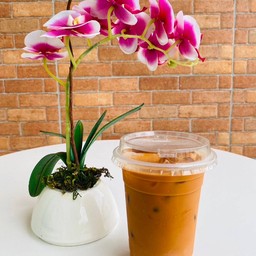 จินต์ก๋วยเตี๋ยวทรงเครื่อง