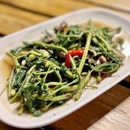 กะเฉดไฟแดง