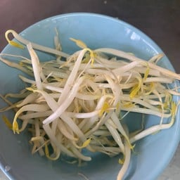 ผัดสด(ถั่วงอก)