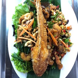 ปลาทับทิมสองใจ