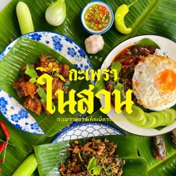 กะเพราในสวน ดอนหวาย