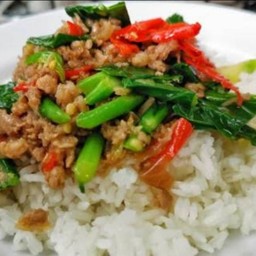คะน้าหมูสับราดข้าว