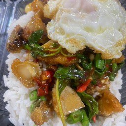 ข้าวกะเพราหมูกรอบ