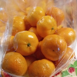 ส้มซาถัง