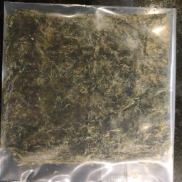 สาหร่ายแผ่น