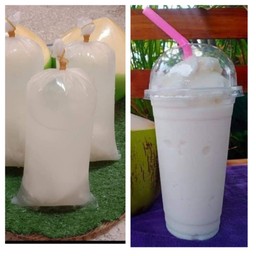 มัซซ่า น้ำมะพร้าวน้ำหอม(Halal)