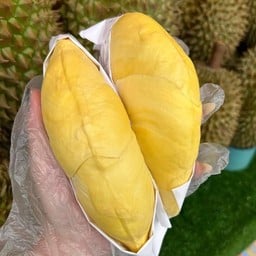 ทุเรียนหมอนทอง  ยะลา เนื้อล้วน ( ขนาด 500 กรัม )