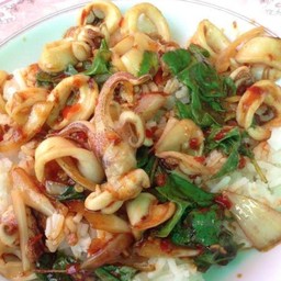 ข้าวกระเพราปลาหมึก