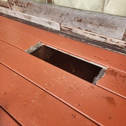 ลูน่าผลไม้ Luna fruits