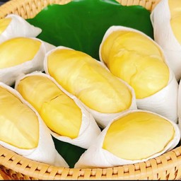 ทุเรียนป่าละอู เนื้อล้วน ( ขนาด 1,000 กรัม )