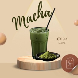 MATCHA มัทฉะ