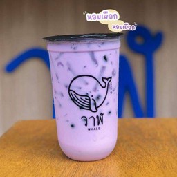 ชานม เผือก