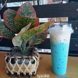 บลูฮาวายนมสดเย็น งดแยกน้ำและน้ำแข็ง